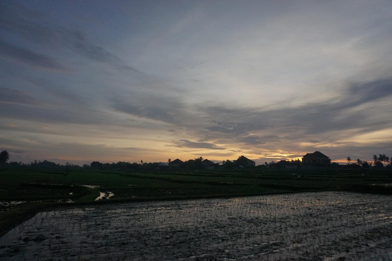 Pondok Uma Ubud Luaran gambar