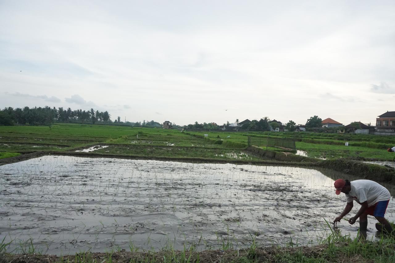 Pondok Uma Ubud Luaran gambar